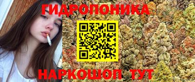 трава Дмитров