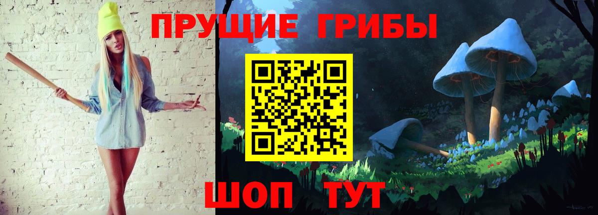 где продают наркотики  Псилоцибиновые грибы мицелий  Вход с VPN  Заринск 
