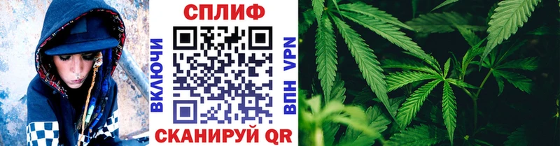 Бошки Шишки тримм  Заринск 